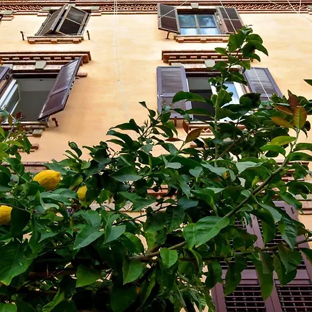 Saba Róma