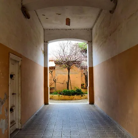 Saba Rome
