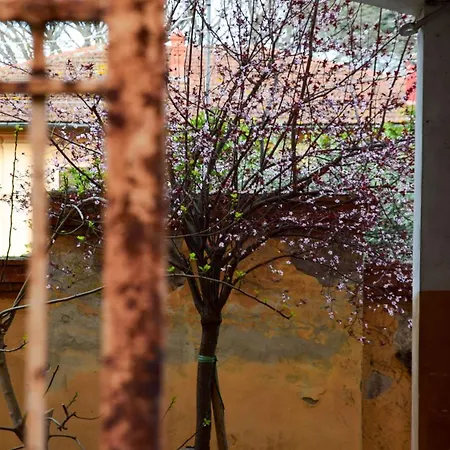 Saba Apartman *